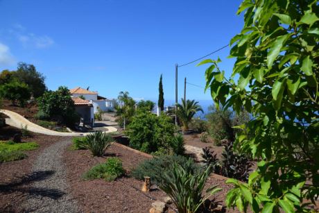 Pflegeleicht, komplett angelegter Garten