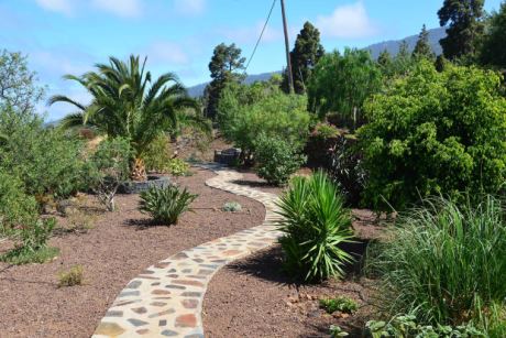 Pflegeleichter Garten