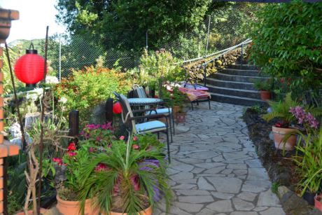 Terrasse Bodega (Au�enk�che)