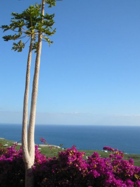 Herrlicher Meerblick