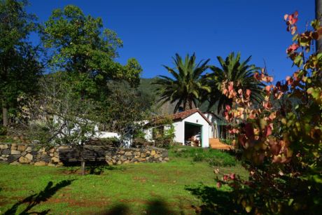 Garage Ansicht von Südwesten