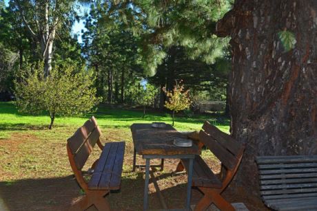 Natürlicher Schatten