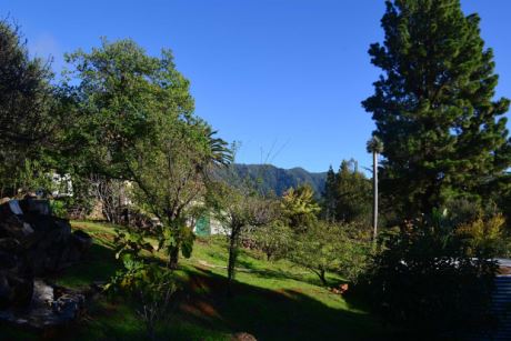 Parkähnlciher Garten