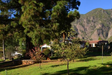 Parkähnlciher Garten