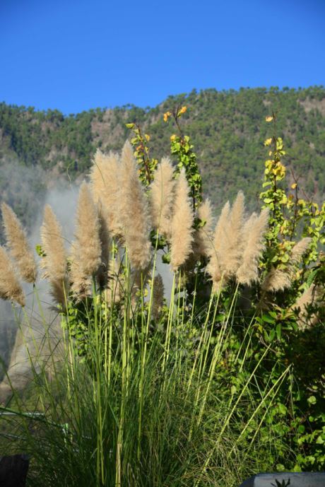 Parkähnlciher Garten