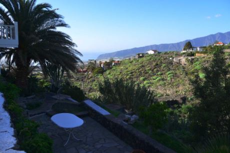 Blick auf den unbearbeiteten Teil des Grundst�cks