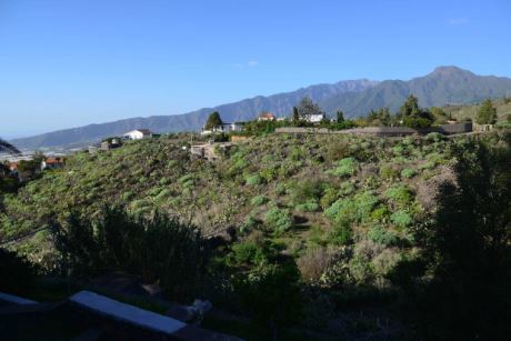 Blick auf den unbearbeiteten Teil des Grundst�cks