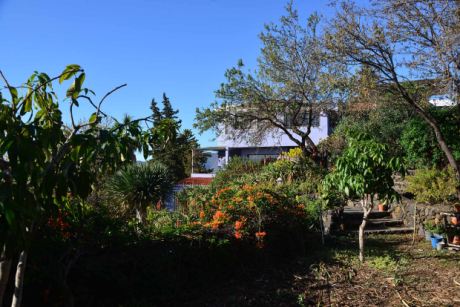 Sch�n angelegter Garten