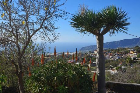 Sch�n angelegter Garten