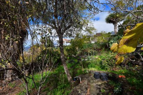 Sch�n angelegter Au�enbereich