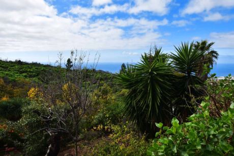 Sch�n angelegter Au�enbereich