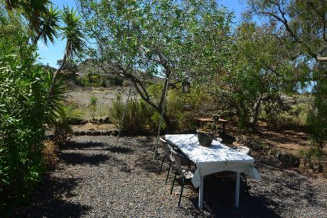 Alter Baumbestand spendet natürlichen Schatten