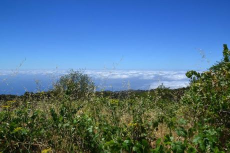 Blick nach Nordwesten