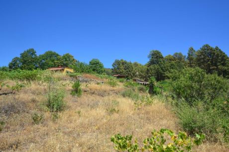 Ansicht aus S�dwesten