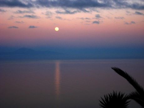 � und Nachtschw�rmern bei Mondaufgang