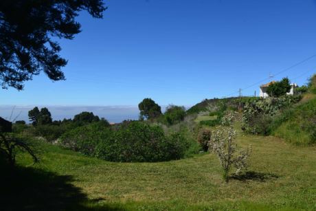 Weitl�ufiger Garten