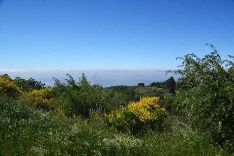 Weitl�ufiger Garten