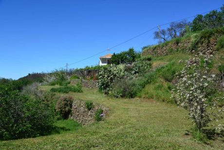 Weitl�ufiger Garten