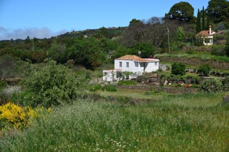 Weitl�ufiger Garten