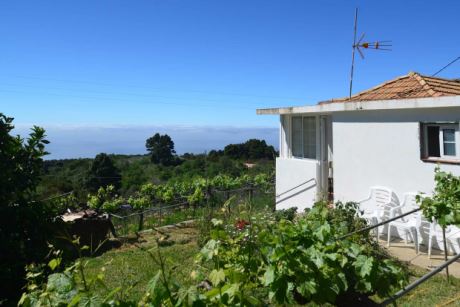 Ansicht von S�dosten