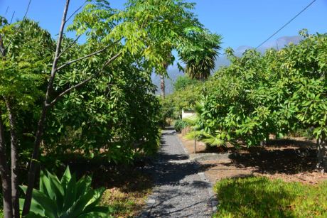 Nutzgarten mit Fruchtb�umen