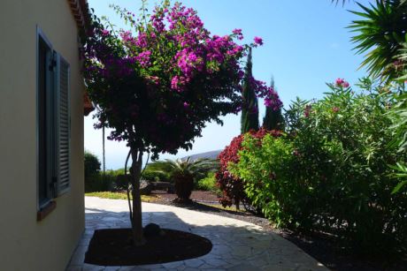 Subtropische Gartenpracht