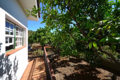 G�stehaus Terrasse