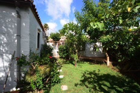 Gesch�tzter Innenhofgarten