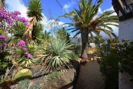 Sch�n eingewachsener Garten