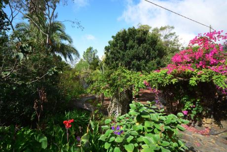 Sch�n eingewachsener Garten