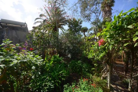 Sch�n eingewachsener Garten