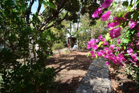 Sch�n eingewachsener Garten