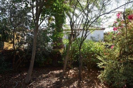 Sch�n eingewachsener Garten