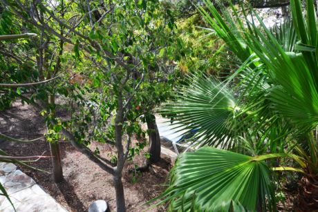 Sch�n eingewachsener Garten