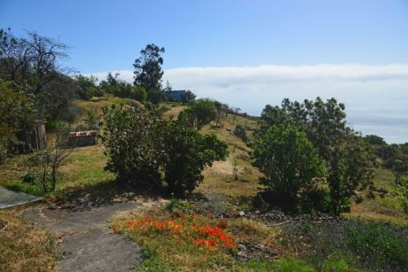 Garten, Blick nach Norden