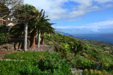 � pflegeleicht angelegt