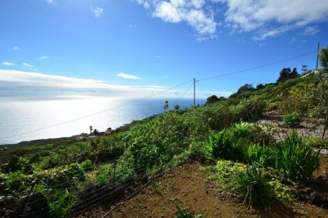 Unterste Gartenterrasse