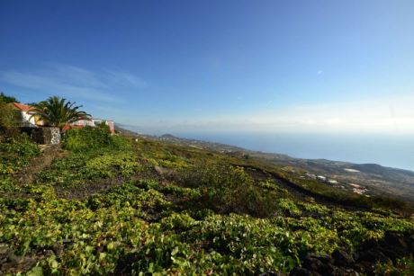 Gro�e Areal und viel Platz zu Nachbarn