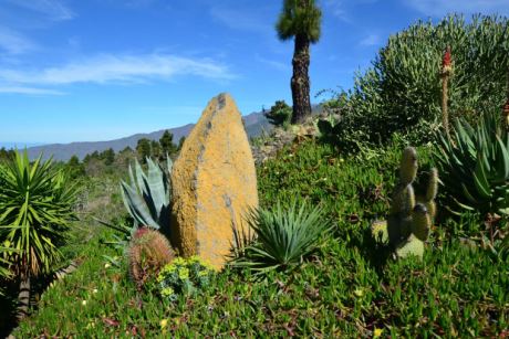 Schn angelegter Garten