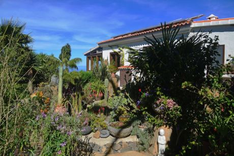 Eingewachsener Garten