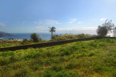 Neu terrassiertes Gelände …