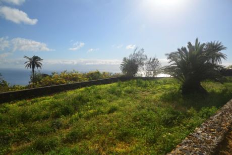 … mit neuen Natursteinmauern versehen