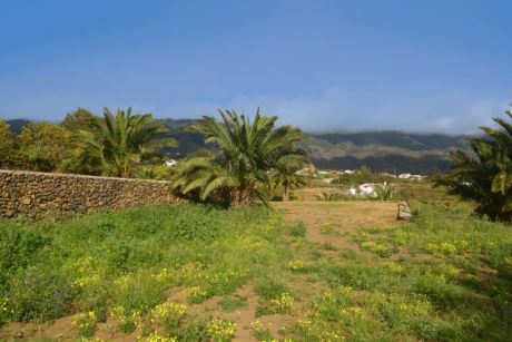 … mehrerer Einfamilienhäuser …