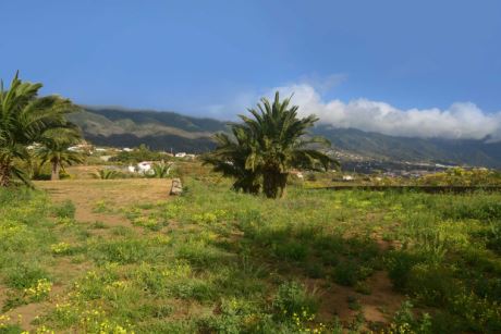 Baugenehmigung für ein Einfamilienhaus …