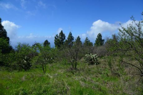 Blick nach Nordwesten