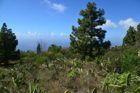 Blick nach Westen