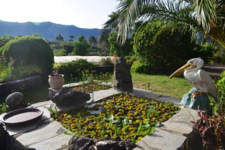 Sch�n angelegter Garten