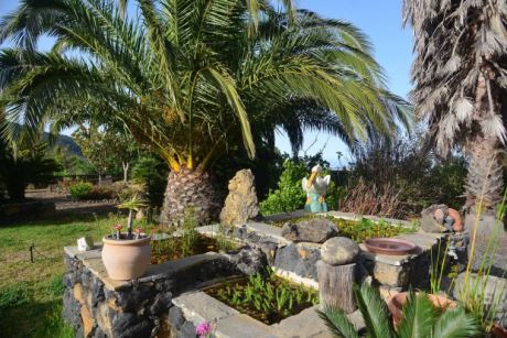 Sch�n angelegter Garten