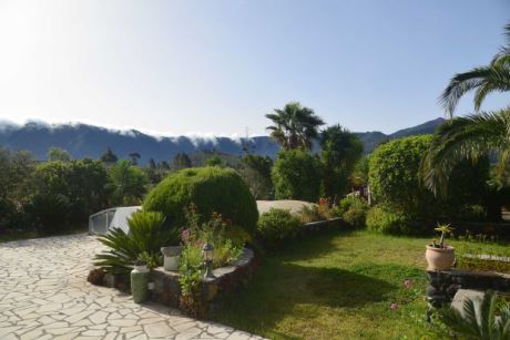 Sch�n angelegter Garten