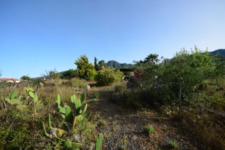 Noch viel Platz f�r eigene Gartentr�ume